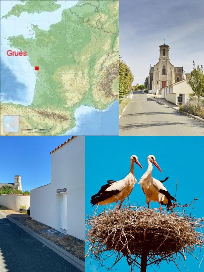 Galta Des Matrus Appartement Cosy 8Kms De L Ocean Grues エクステリア 写真